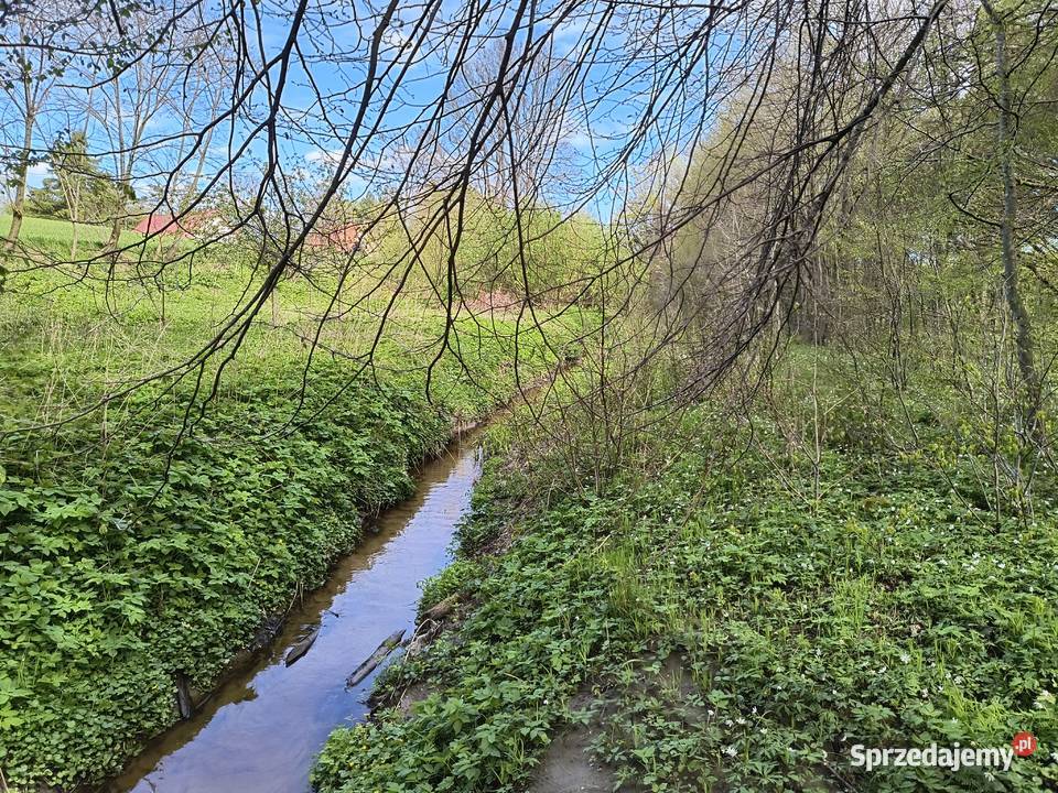 Sławutowo 183 pomorskie