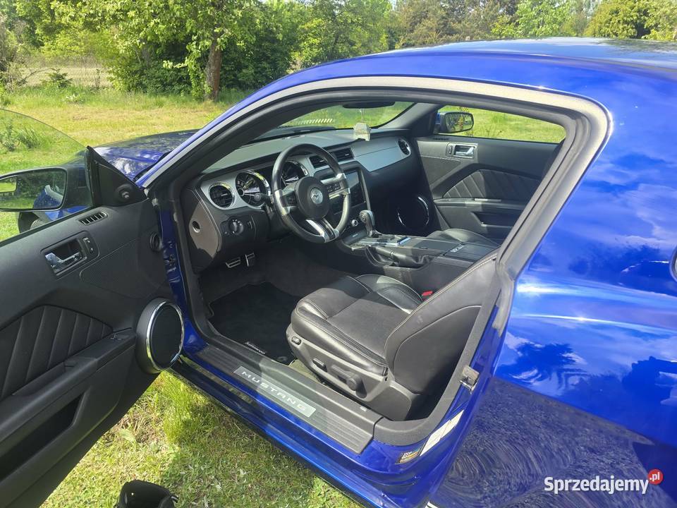 Ford Mustang Premium Pony Mustang Łódź