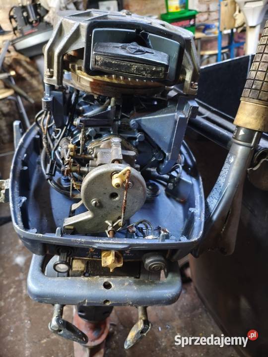 Silnik zaburtowy evinrude 20