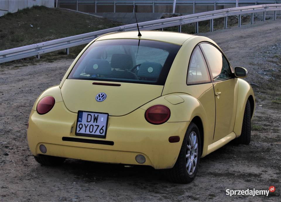 BEETLE Wrocław