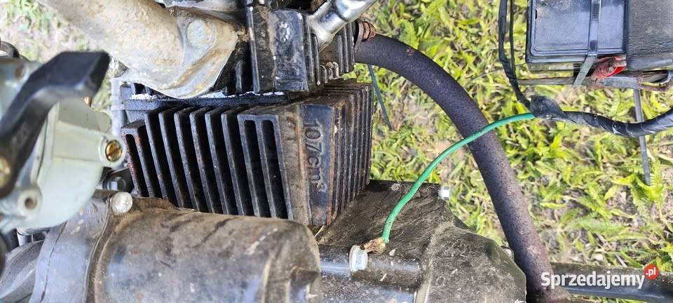 Buggy Zumico dziecka Grębocin