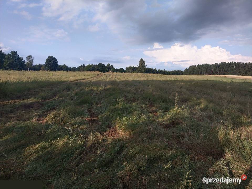 Duża działka 2700 m2 z Warunkami Zabudowy 37 m2 Huta sprzedam