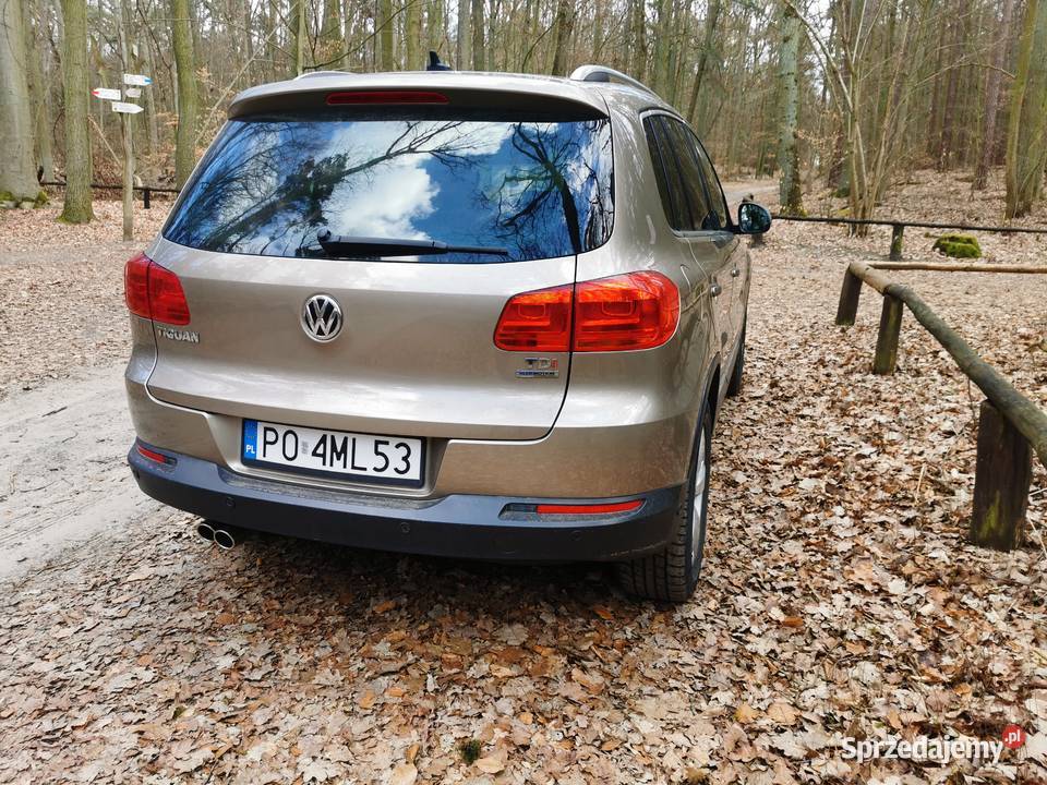 Vw Tiguan Samochody osobowe Poznań