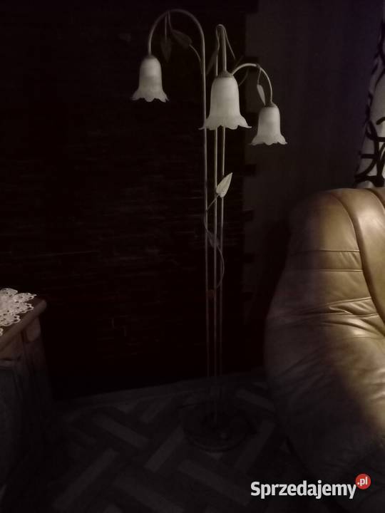 Lampa inny kolor Oświetlenie lubelskie Nałęczów