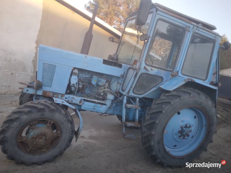 Mtz 82 rocznik 1993 4x4 idealny Gwizdów