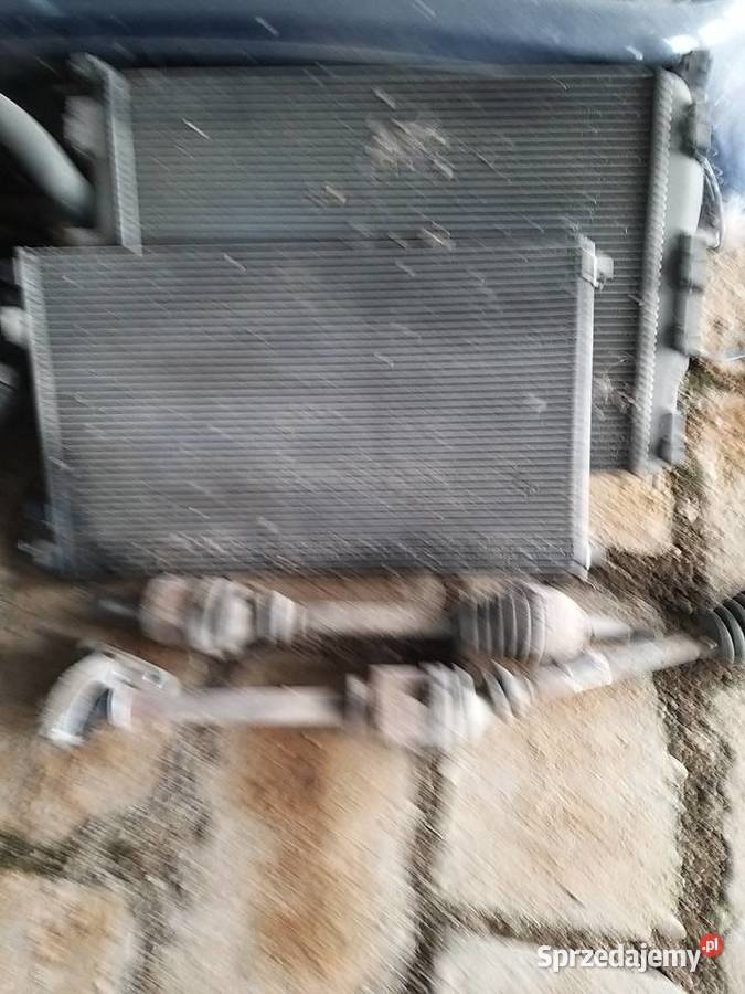 Scenic ll grand Laski