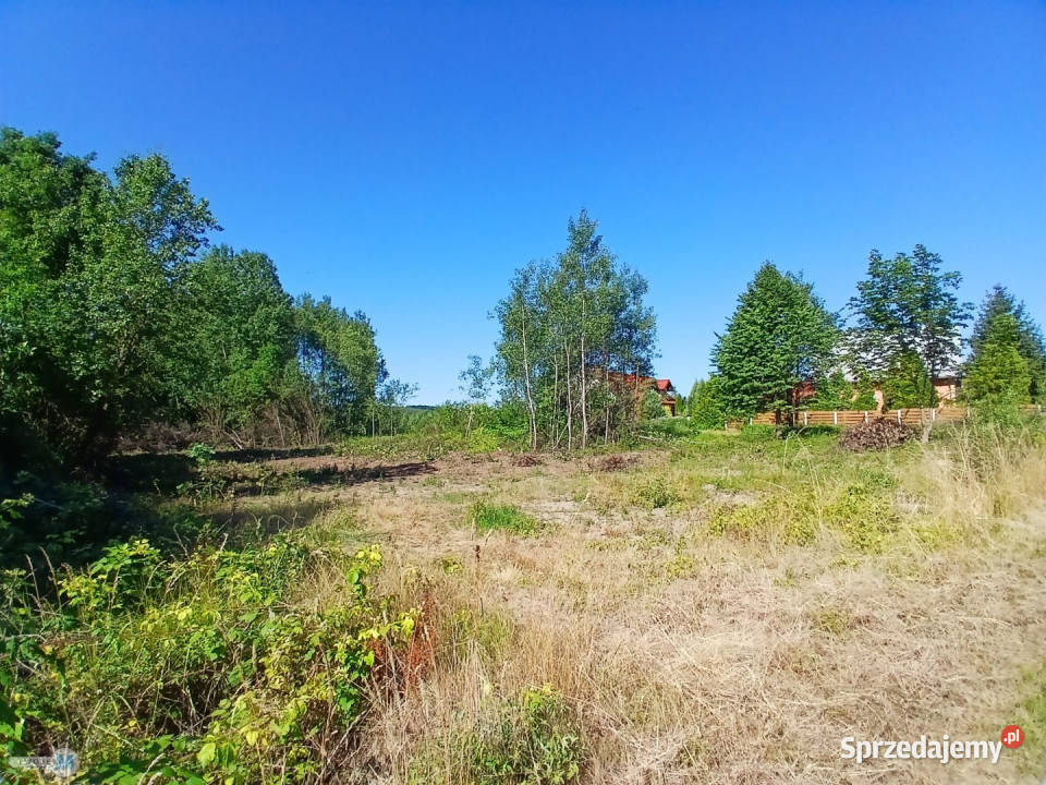 sprzedaży gruntu Raków 9100m2