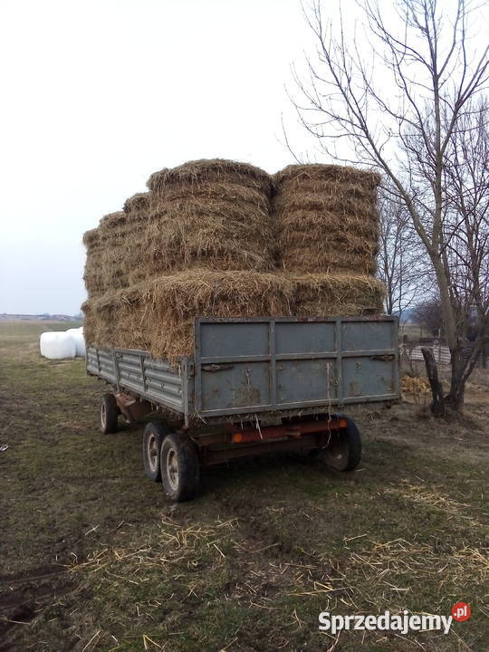 Przyczepa tandem sztywna trzyosiowa Bodzentyn
