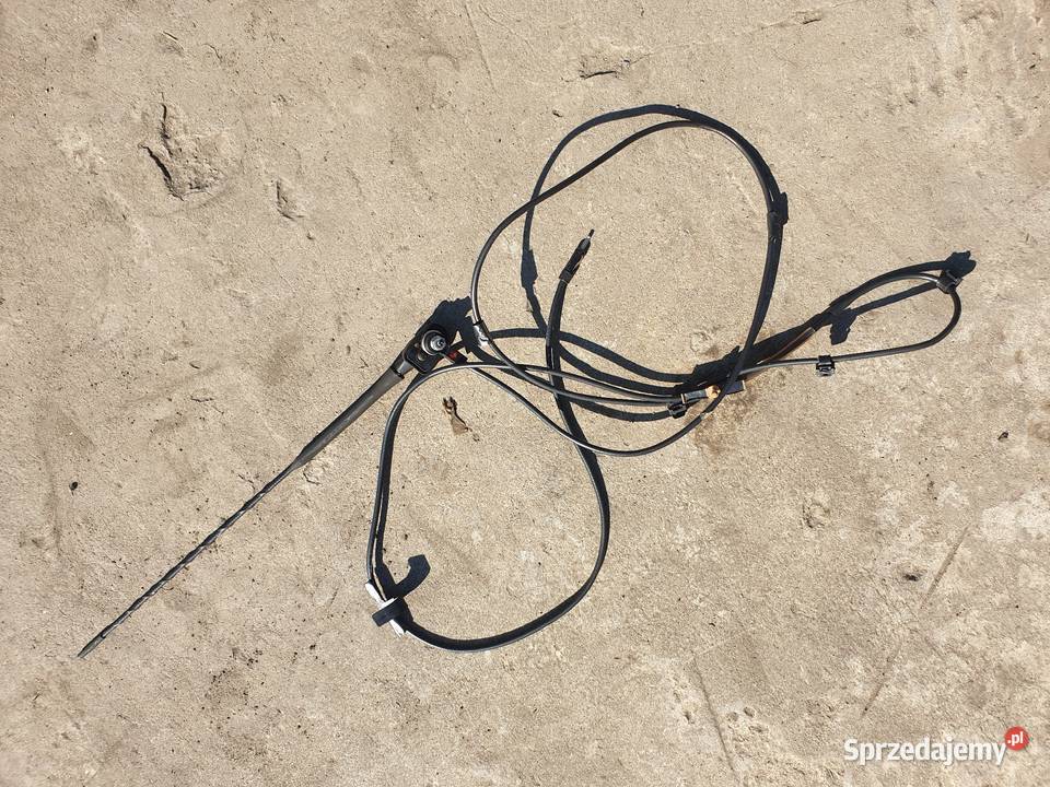 Antena Corolla E11 Sandomierz