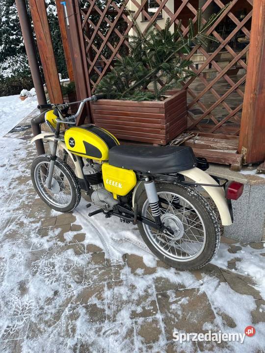 Wsk lelek świętokrzyskie Daleszyce