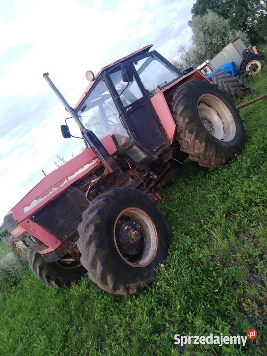 Ursus 1224