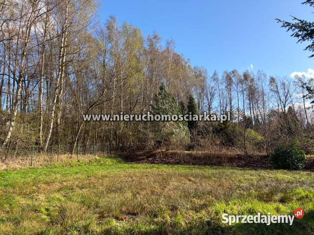 Działka 3750 metrów Wodzisław Śląski szambo