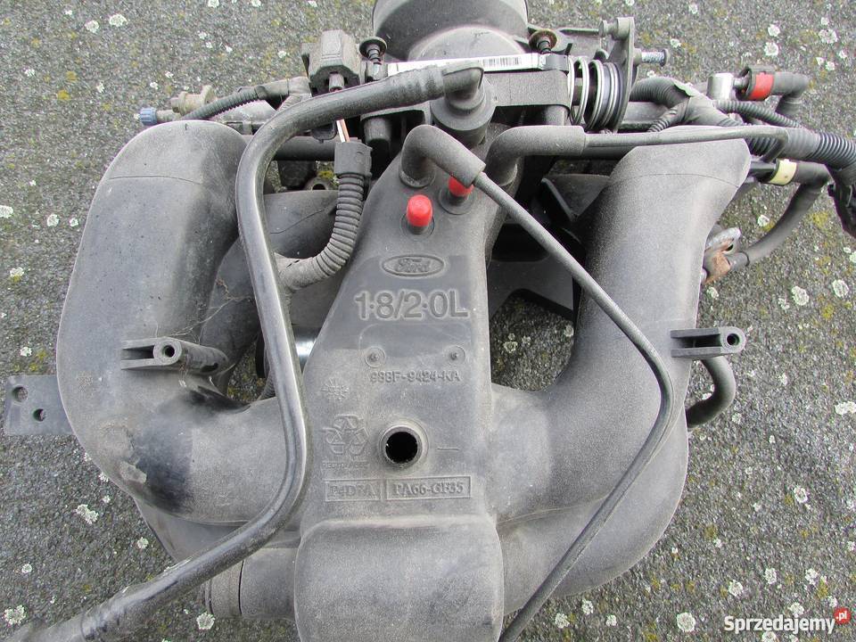 Kolektor komplet for focus 1820