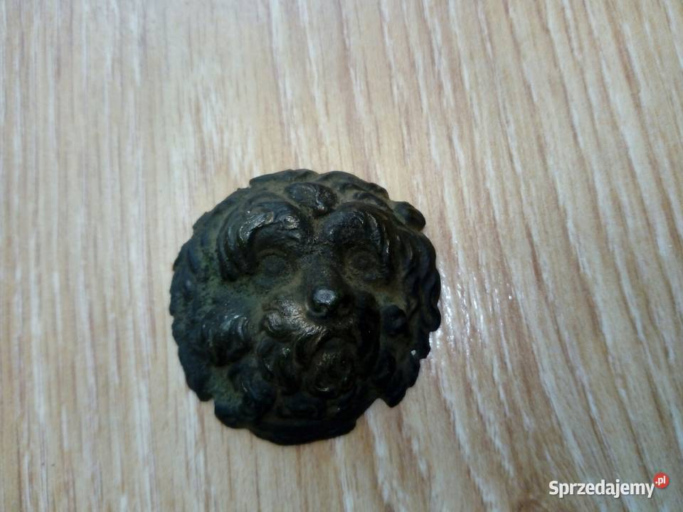 Lew z czako hełmu Przemyśl