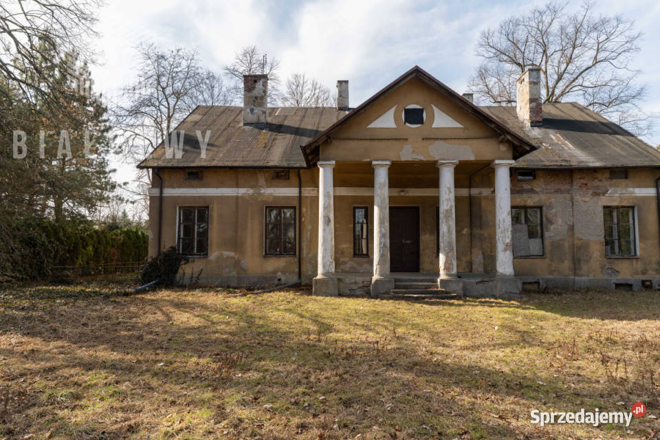 Dom wolnostojący Grodzisk Mazowiecki Szczęsna asfalt