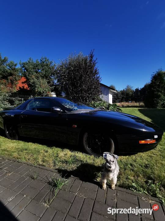 Pontiac firebird IV Firebird Szamotuły