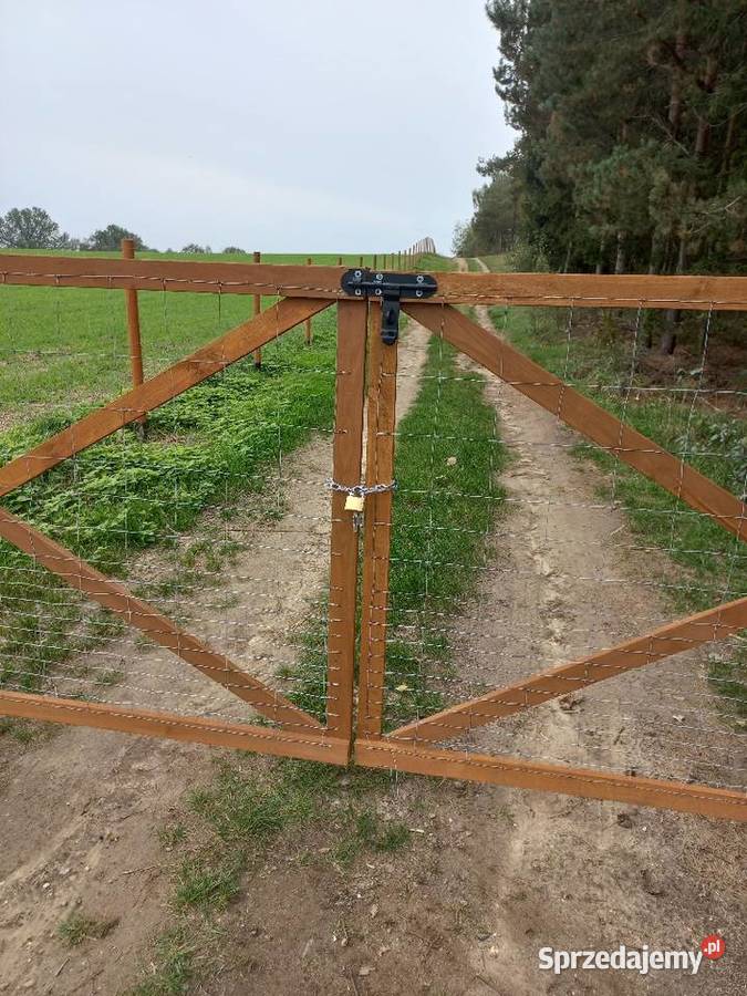 Brama z siatki leśnej techniczna tymczasowa wielkopolskie Wolsztyn