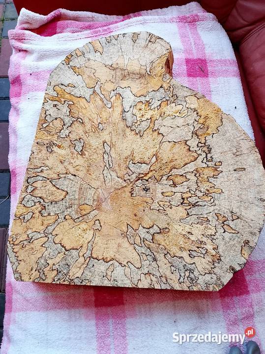 Plaster deska Buk z grzybkiem Nowy Tomyśl sprzedam