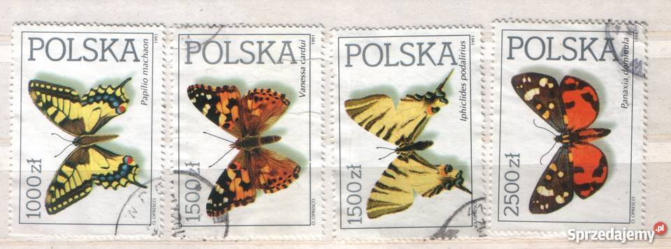 Zn Fi 3171 4 95 7 9 kas 1991 śląskie Gliwice