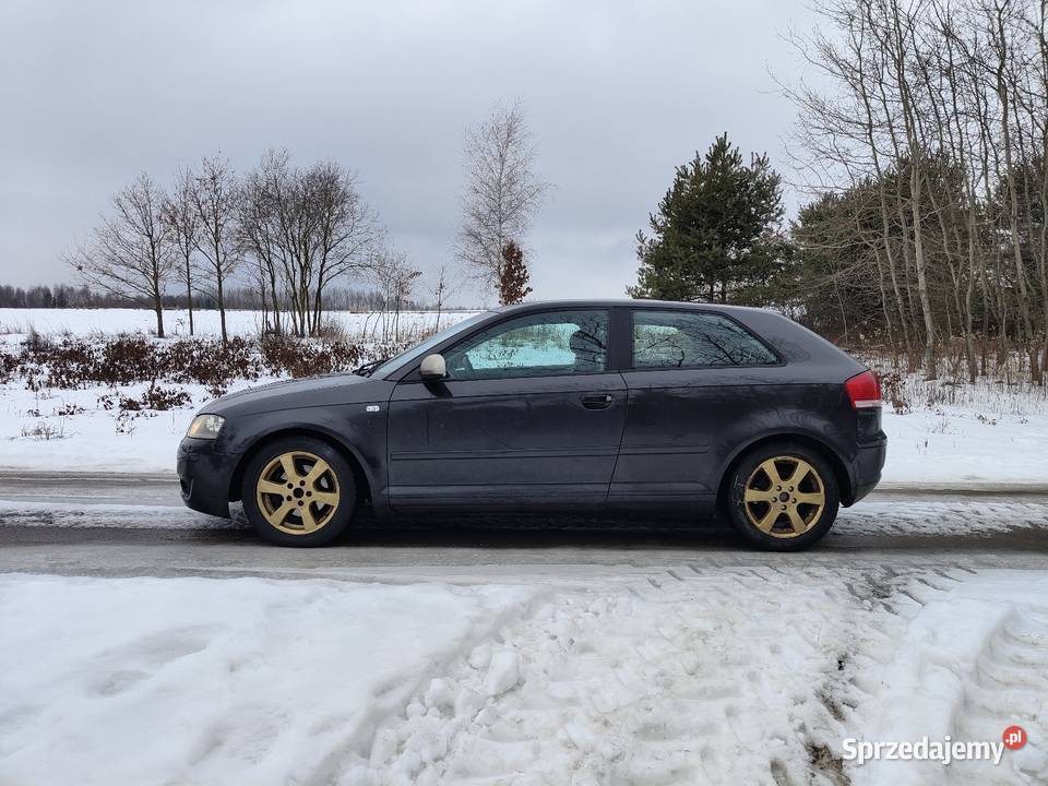 Audi A3 8p 19 TDI 105 2005 Climatronic ZAMIANA radio Bogoria