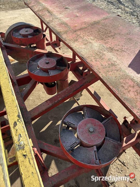 Sadzarka do ziemniaków Warta