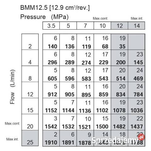 SILNIK Hydrauliczny BMM SMM MMS OMM DMM 1253 Solec Kujawski