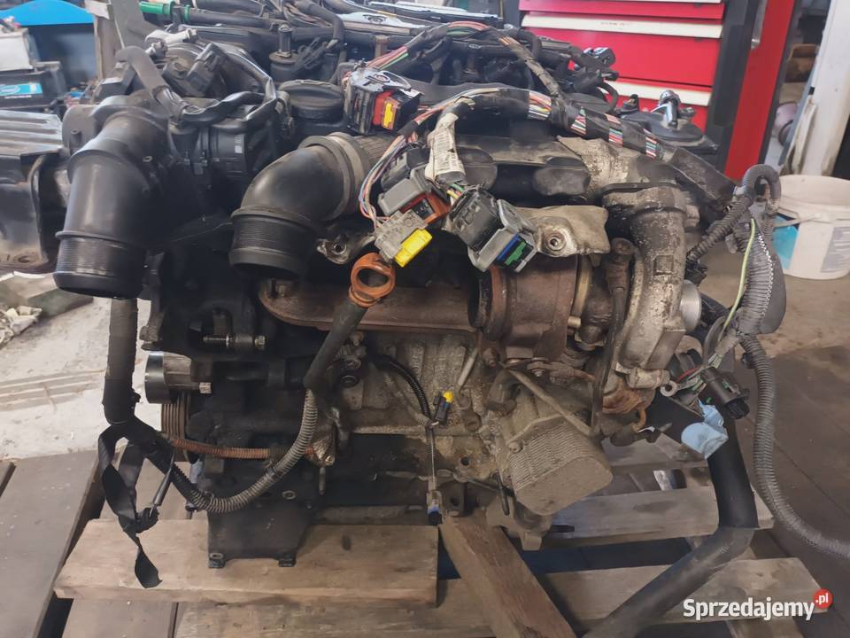 Silnik 16 hdi 75 Partner Berlingo osobowe Przychody