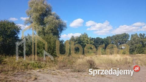 Duża działka pod agroturystykę Maszewa zachodniopomorskie Radzanek