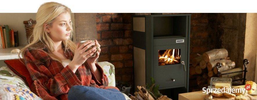 HECHT VULCANUS BEIGE PIEC KOMINEK KUCHENKA Z Opalenica