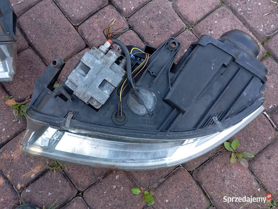 Lampa xenon passat b5 lift mazowieckie