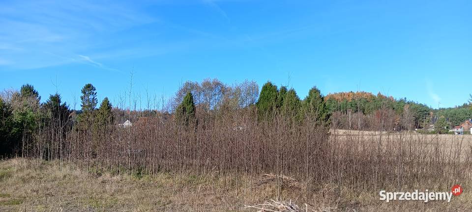 4 działki z MPZP w Koleczkowie Sprzedaż Koleczkowo