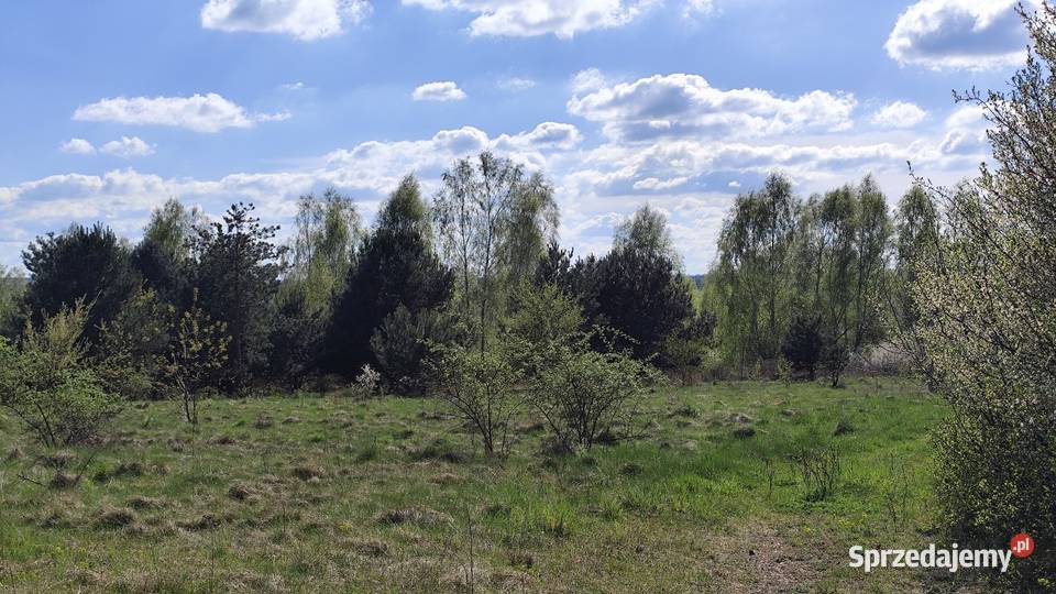 Działka rolna w Myszkowie Nowa Wieś duża 3417m2 12.5m Myszków