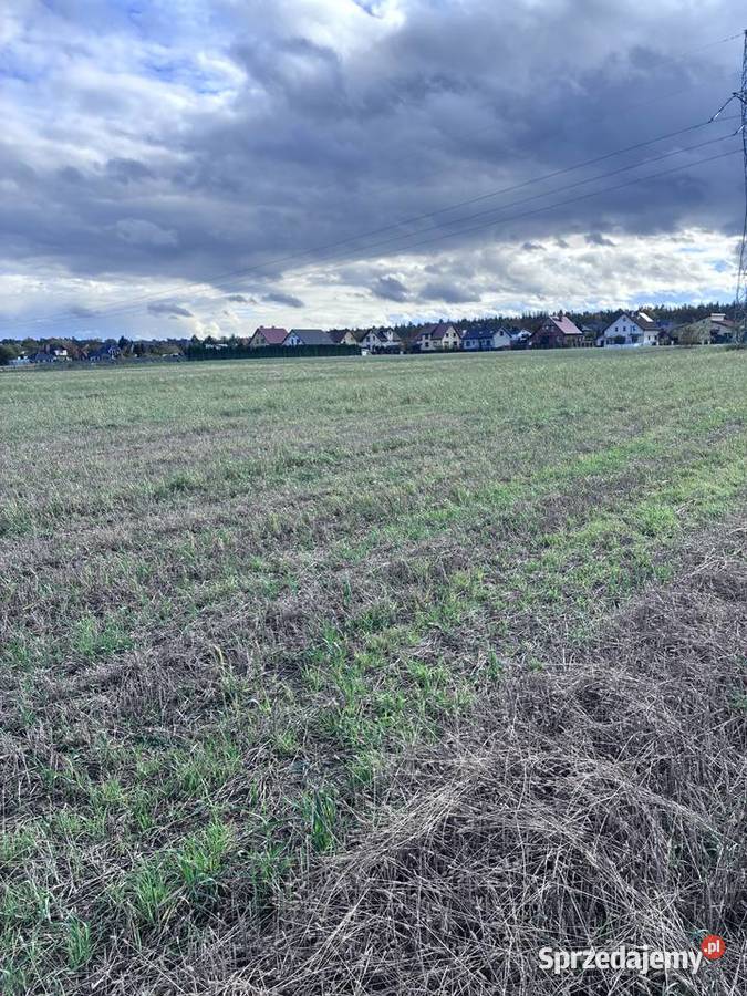 Działka 15 ar z warunkami zabudowy Kazimierz 1497m2 wielkopolskie Kazimierz Biskupi