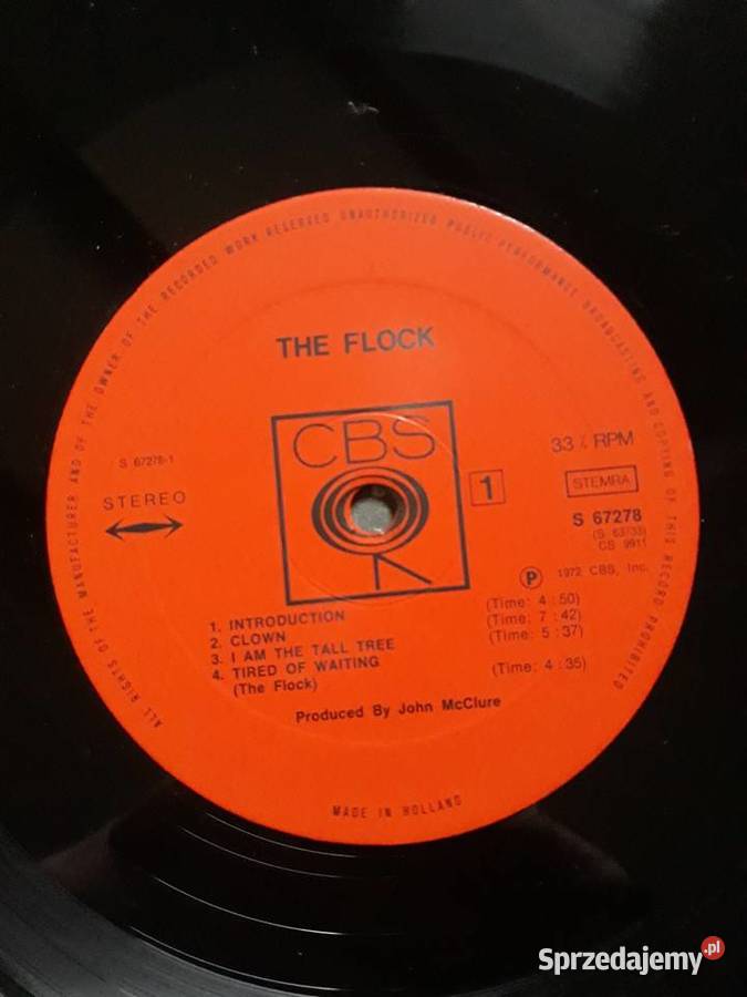Z wykopalisk Jazz Rocka THE FLOCK The Flock 1972 Rzeszów