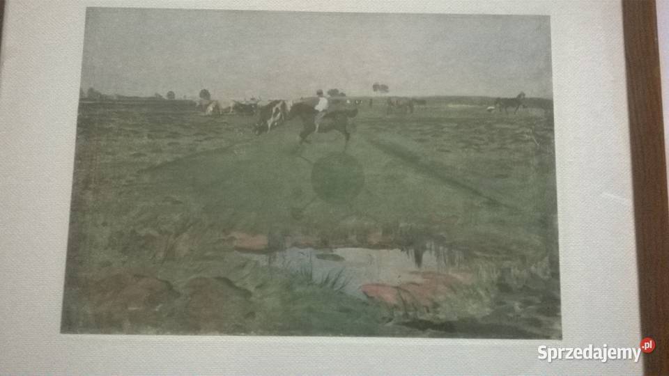 REPRODUKCJA OBRAZ PASTWISKOWŁODZIMIERZA TETMAJER Elbląg