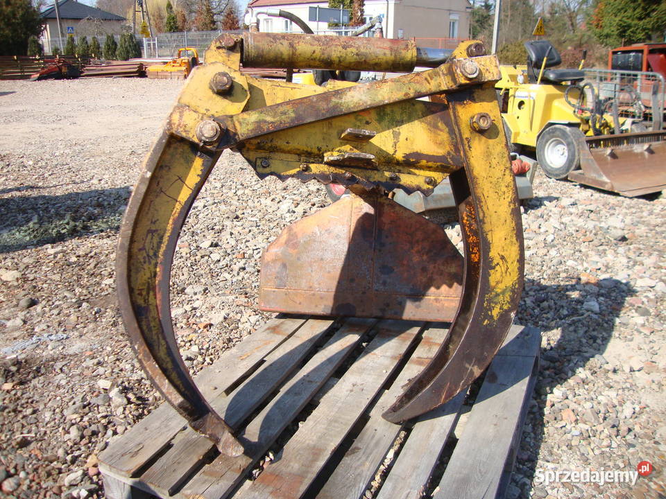 kleszcze zrywkowe Czaplinek