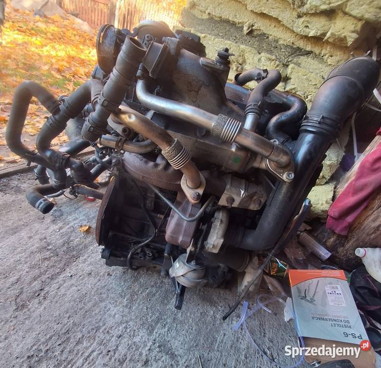 Silnik 19 Tdi Bvk vw Sharan 2009r Rok produkcji 2009 Czarna Woda