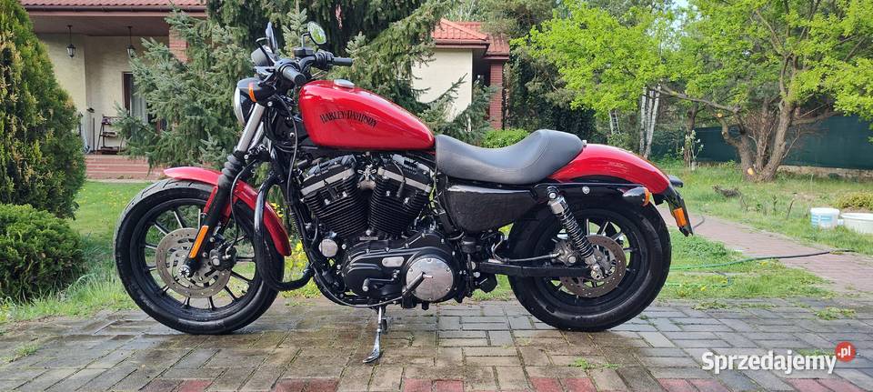 Iron 883 polski salon niski przebieg zadbany pas napędowy Stanisławów Pierwszy