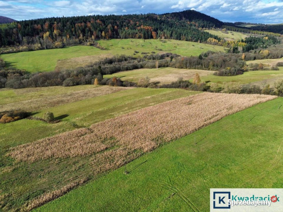 sprzedaży gruntu 587000m2 Daliowa