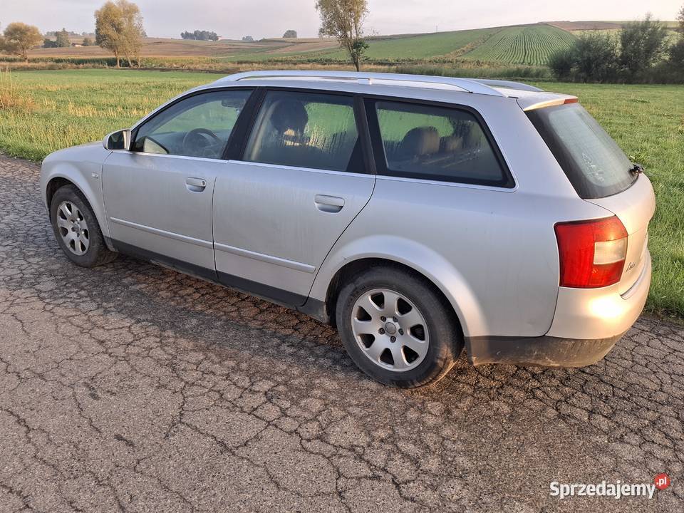 A4b6 19 131koni 1 wł Zdrowy Proszowice