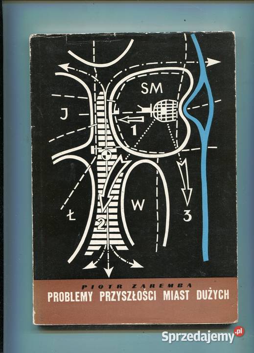 Problemy przyszłości miast dużych Piotr Zaremba Szczecin