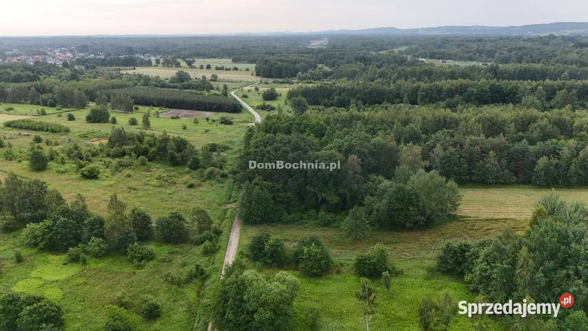 Grunt 5141m2 Borek 9zł/m2 Nieruchomości sprzedam