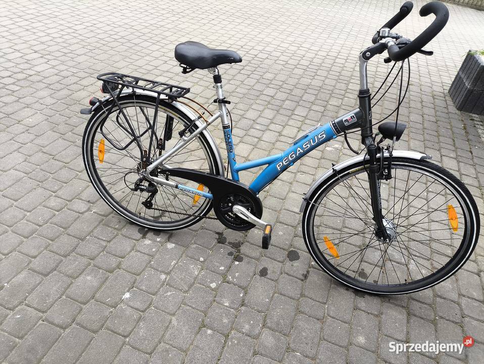 Rower męski Dobrodzień