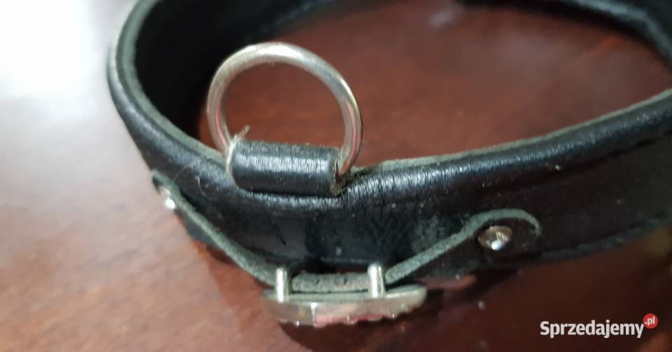 Smycz obroża kryształki skóra czoker rzemyk Dodatki świętokrzyskie Kielce