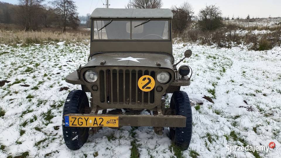 Willys MB Jeep zabytek zachodniopomorskie Trzebiatów sprzedam