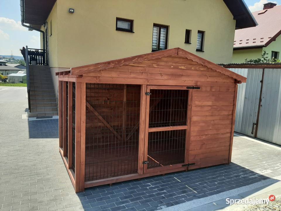 Kojec psa Jordanów