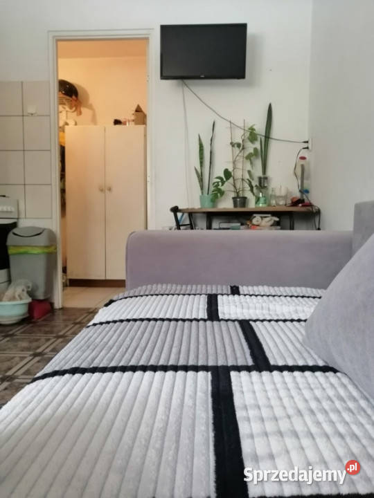 Mieszkanie na wynajem dostępne marca 26m2 Wynajem lubelskie Puławy