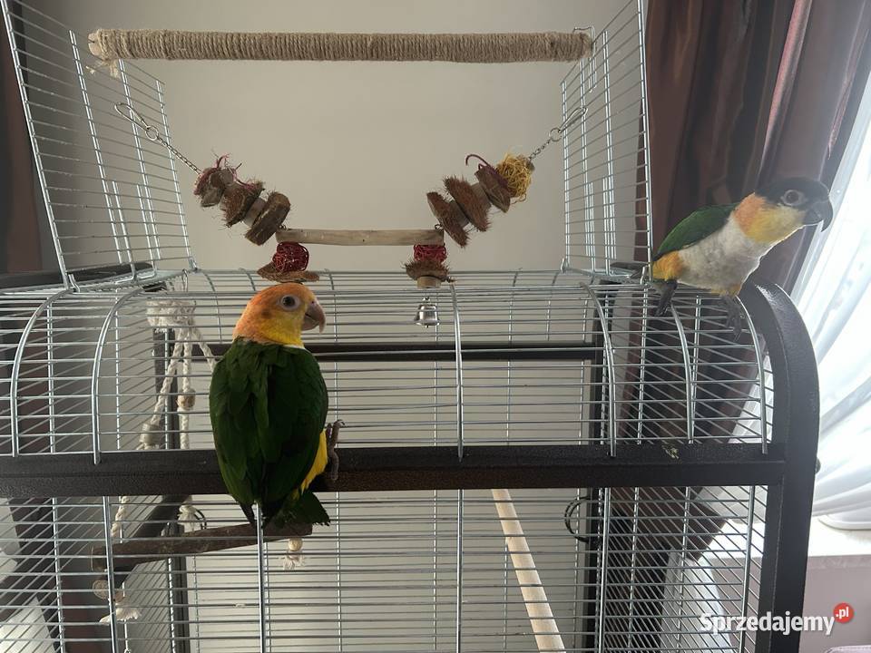 Klatka papug Omega 2 mazowieckie Warszawa