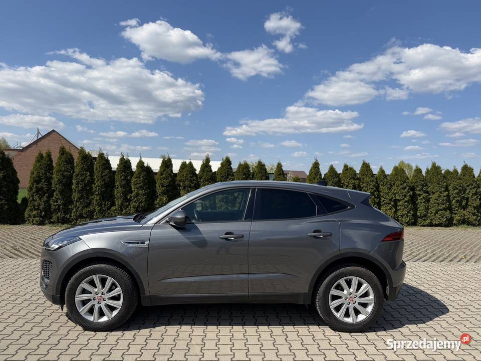 Piękny Jaguar E Pace Pozostałe wielkopolskie Śrem