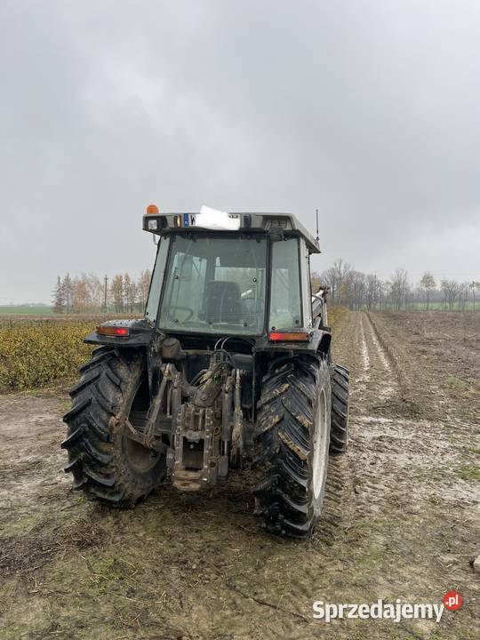 Massey Ferguson 3065 Lipsko